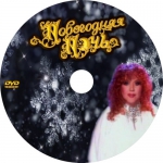Новогодняя ночь - 2004 (DVD)